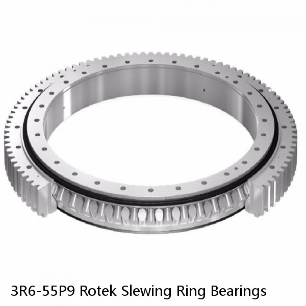 3R6-55P9 Rotek Slewing Ring Bearings