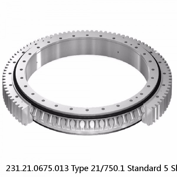 231.21.0675.013 Type 21/750.1 Standard 5 Slewing Ring Bearings