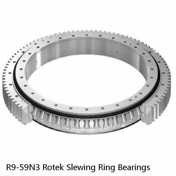 R9-59N3 Rotek Slewing Ring Bearings