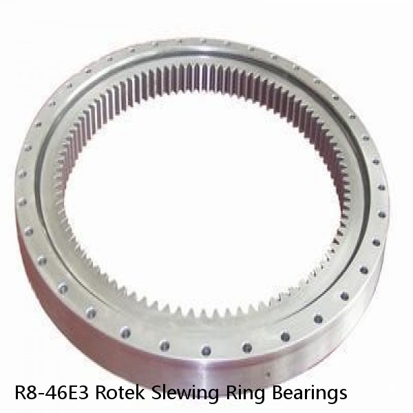 R8-46E3 Rotek Slewing Ring Bearings