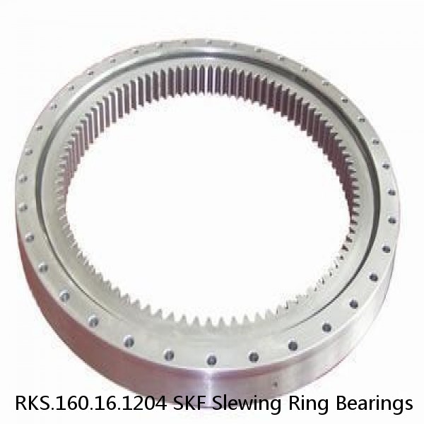 RKS.160.16.1204 SKF Slewing Ring Bearings