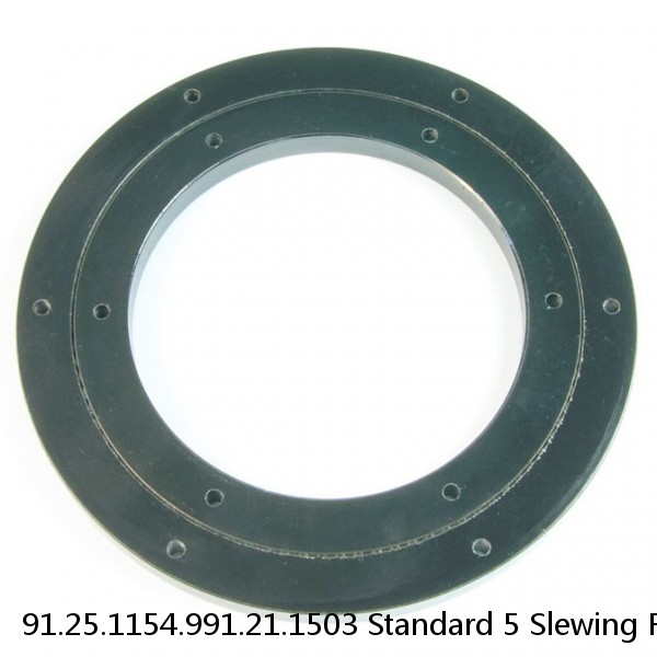 91.25.1154.991.21.1503 Standard 5 Slewing Ring Bearings