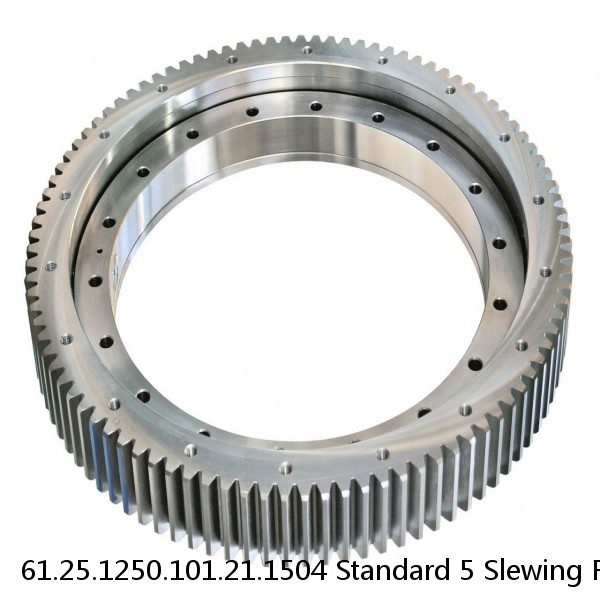 61.25.1250.101.21.1504 Standard 5 Slewing Ring Bearings