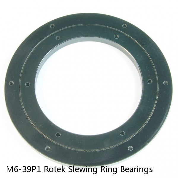 M6-39P1 Rotek Slewing Ring Bearings