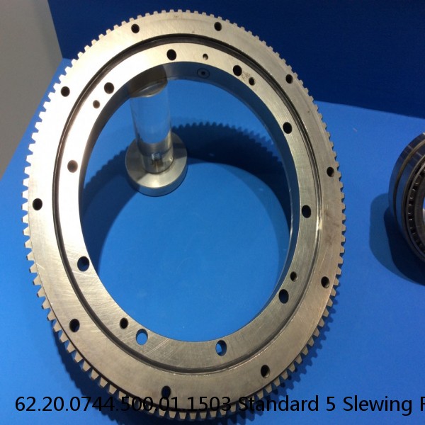 62.20.0744.500.01.1503 Standard 5 Slewing Ring Bearings