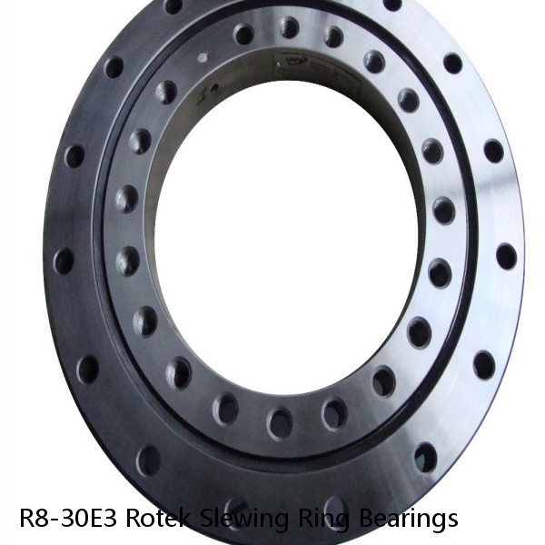 R8-30E3 Rotek Slewing Ring Bearings