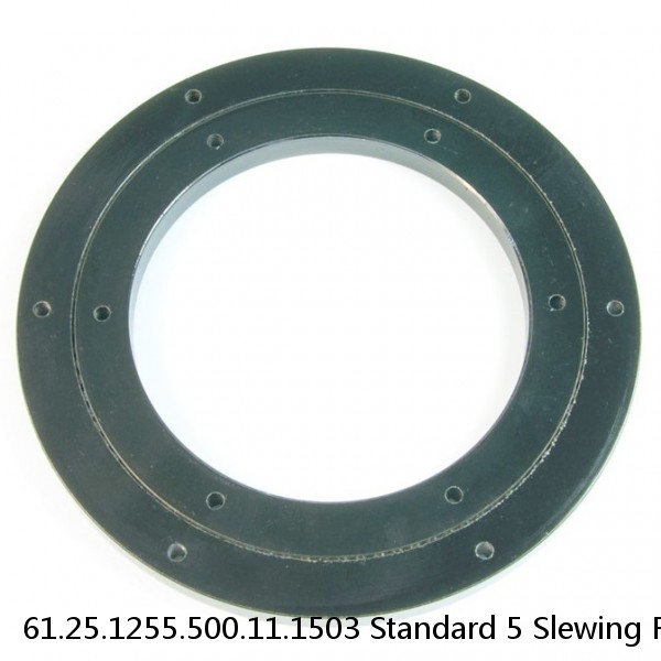 61.25.1255.500.11.1503 Standard 5 Slewing Ring Bearings