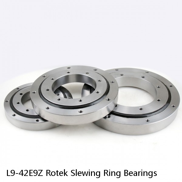 L9-42E9Z Rotek Slewing Ring Bearings