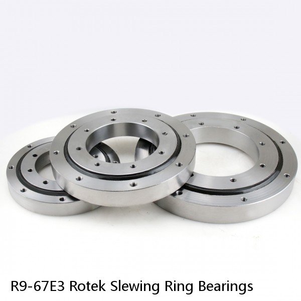 R9-67E3 Rotek Slewing Ring Bearings