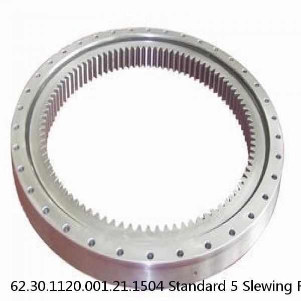 62.30.1120.001.21.1504 Standard 5 Slewing Ring Bearings