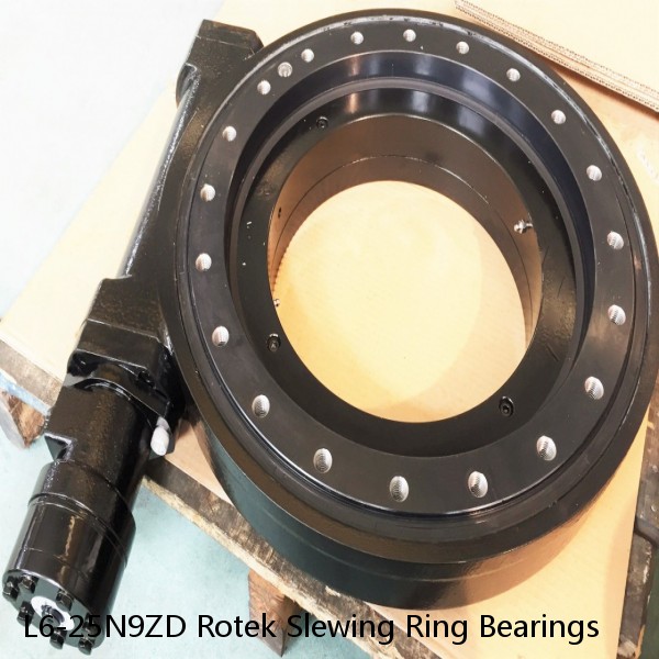 L6-25N9ZD Rotek Slewing Ring Bearings