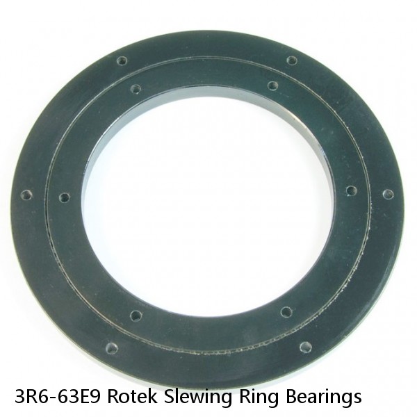 3R6-63E9 Rotek Slewing Ring Bearings