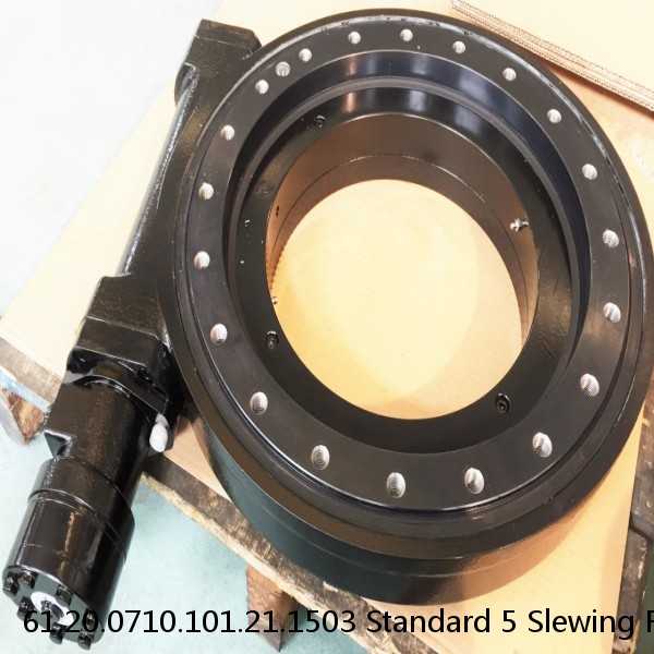 61.20.0710.101.21.1503 Standard 5 Slewing Ring Bearings