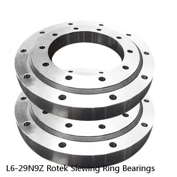 L6-29N9Z Rotek Slewing Ring Bearings