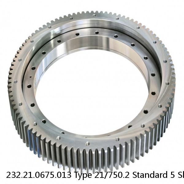 232.21.0675.013 Type 21/750.2 Standard 5 Slewing Ring Bearings