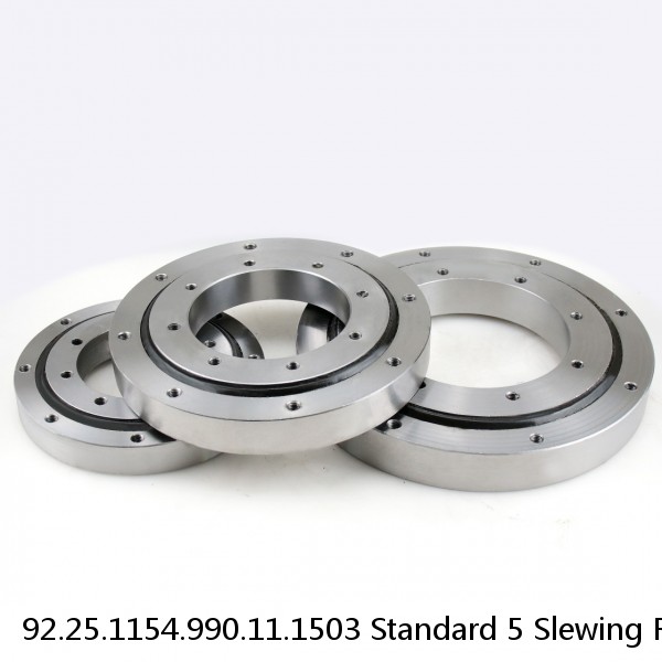 92.25.1154.990.11.1503 Standard 5 Slewing Ring Bearings