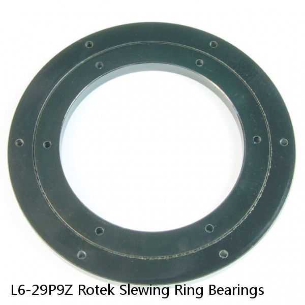 L6-29P9Z Rotek Slewing Ring Bearings