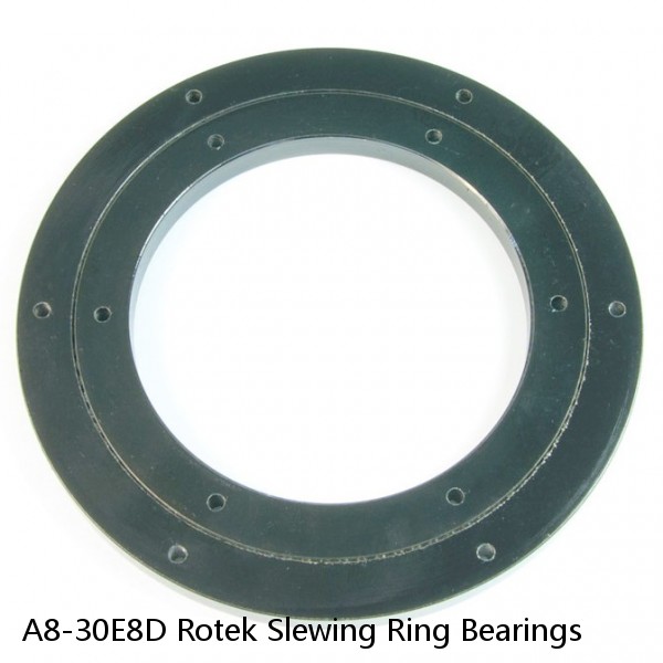 A8-30E8D Rotek Slewing Ring Bearings