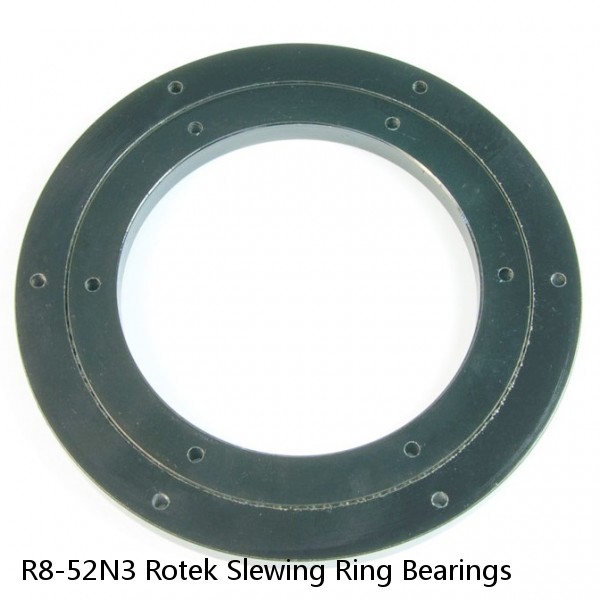 R8-52N3 Rotek Slewing Ring Bearings