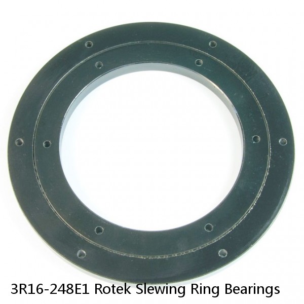 3R16-248E1 Rotek Slewing Ring Bearings