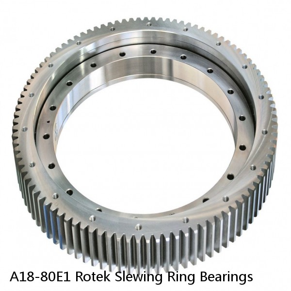 A18-80E1 Rotek Slewing Ring Bearings