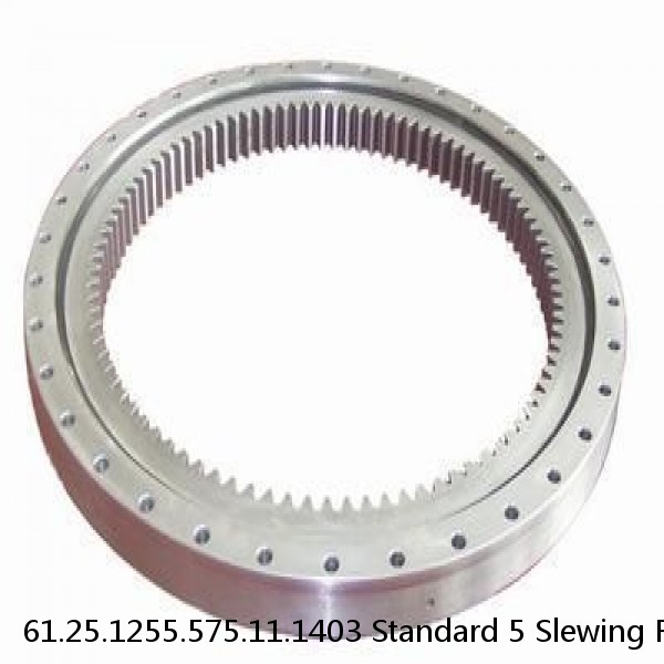 61.25.1255.575.11.1403 Standard 5 Slewing Ring Bearings