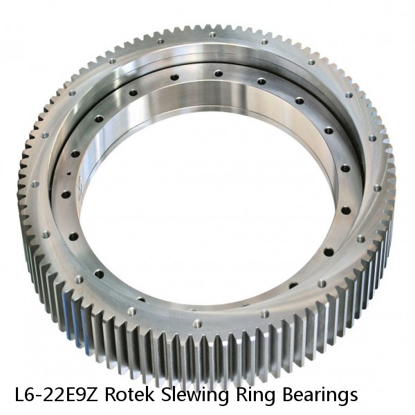 L6-22E9Z Rotek Slewing Ring Bearings