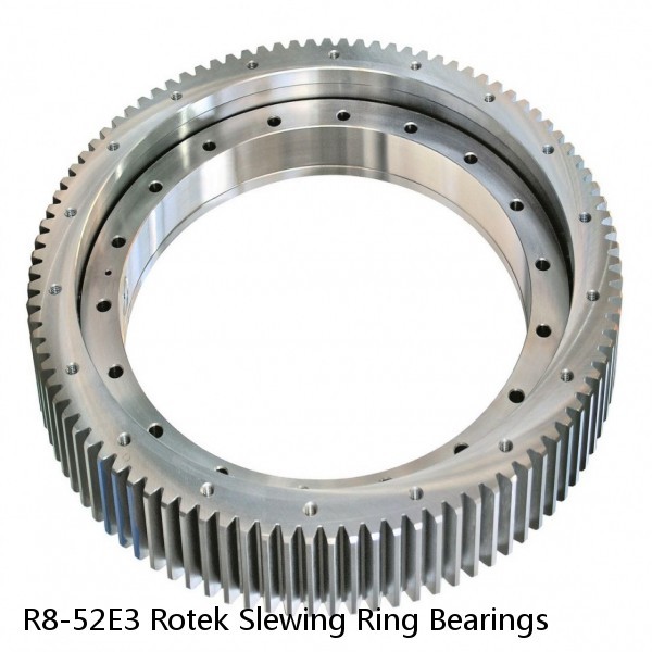 R8-52E3 Rotek Slewing Ring Bearings