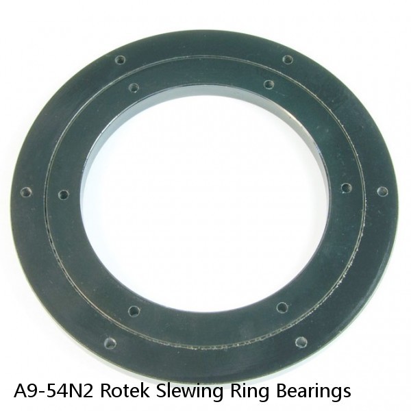 A9-54N2 Rotek Slewing Ring Bearings