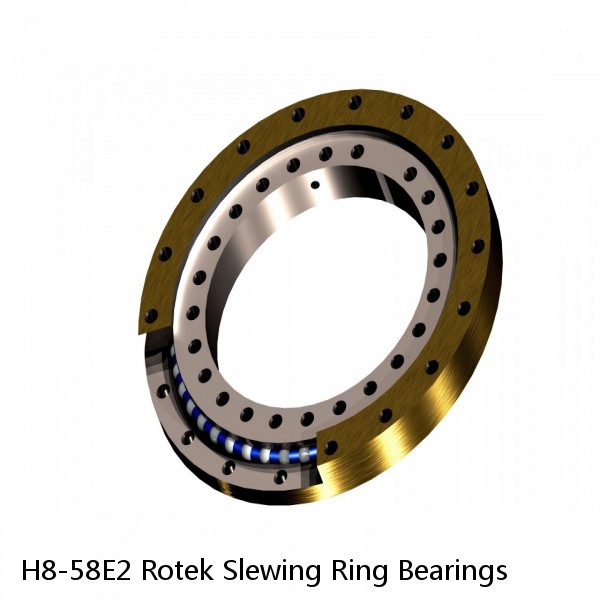 H8-58E2 Rotek Slewing Ring Bearings