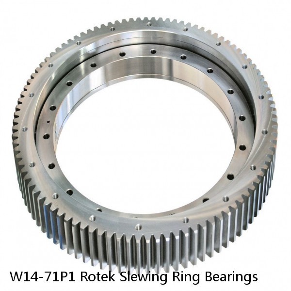 W14-71P1 Rotek Slewing Ring Bearings