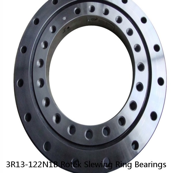 3R13-122N1B Rotek Slewing Ring Bearings