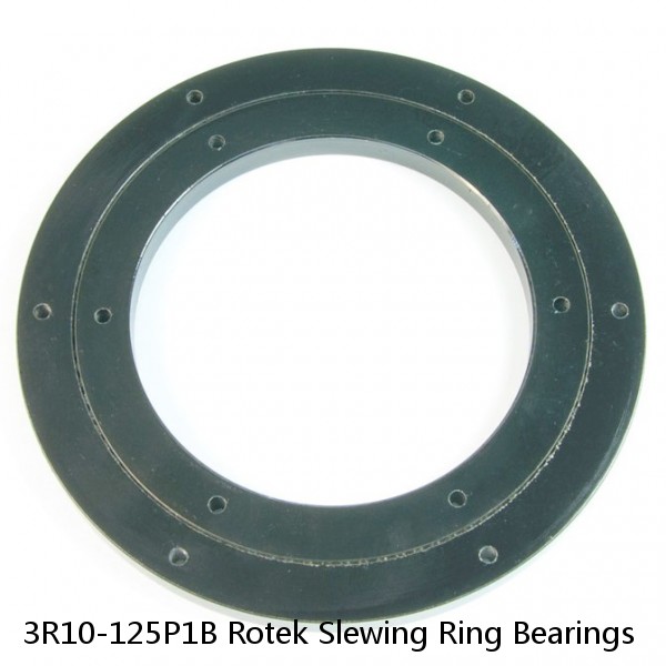 3R10-125P1B Rotek Slewing Ring Bearings