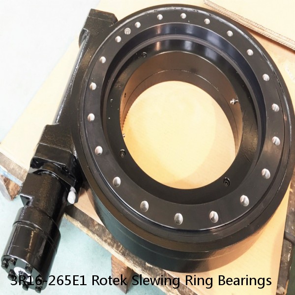 3R16-265E1 Rotek Slewing Ring Bearings