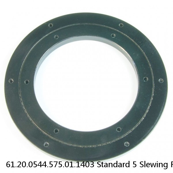 61.20.0544.575.01.1403 Standard 5 Slewing Ring Bearings