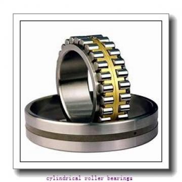 1.575 Inch | 40 Millimeter x 2.677 Inch | 68 Millimeter x 0.591 Inch | 15 Millimeter  CONSOLIDATED BEARING NU-1008 M  Cylindrical Roller Bearings