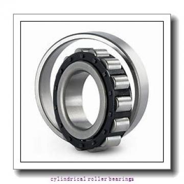 7.087 Inch | 180 Millimeter x 9.843 Inch | 250 Millimeter x 1.654 Inch | 42 Millimeter  CONSOLIDATED BEARING NCF-2936V C/3 BR  Cylindrical Roller Bearings