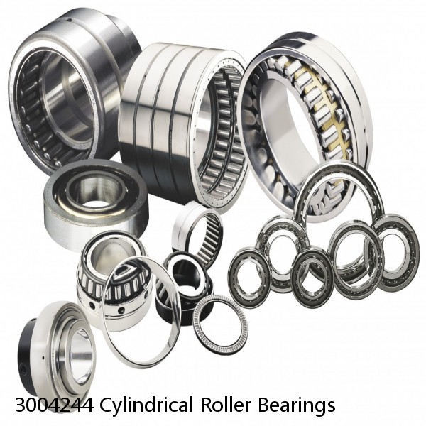 3004244 Cylindrical Roller Bearings