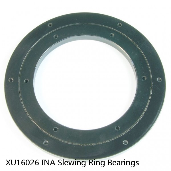 XU16026 INA Slewing Ring Bearings