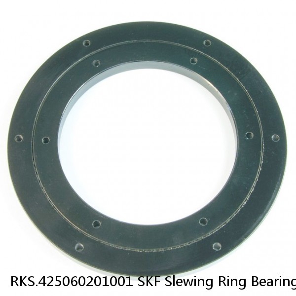 RKS.425060201001 SKF Slewing Ring Bearings