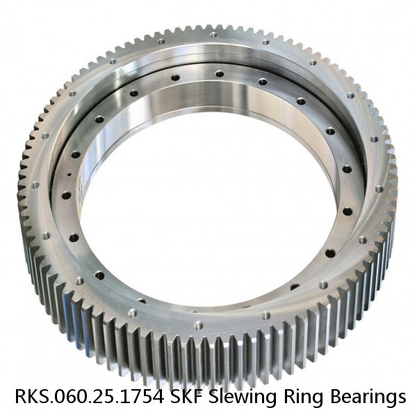 RKS.060.25.1754 SKF Slewing Ring Bearings