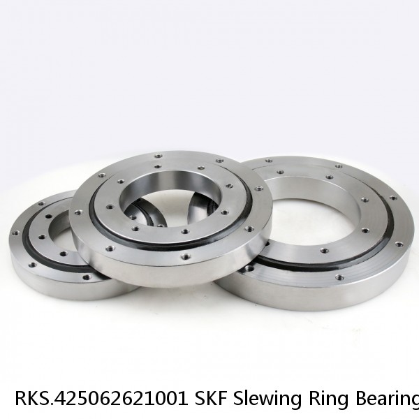 RKS.425062621001 SKF Slewing Ring Bearings