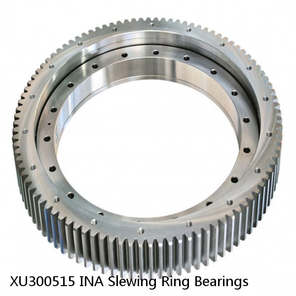 XU300515 INA Slewing Ring Bearings