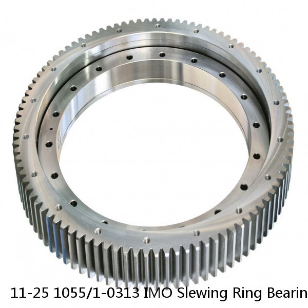 11-25 1055/1-0313 IMO Slewing Ring Bearings