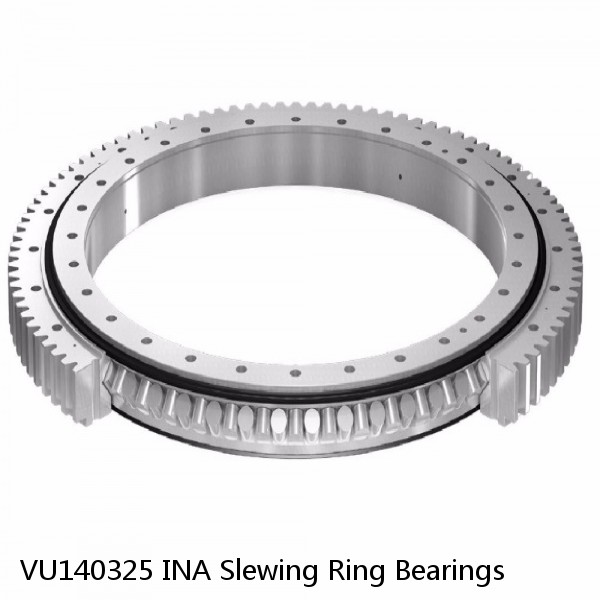 VU140325 INA Slewing Ring Bearings