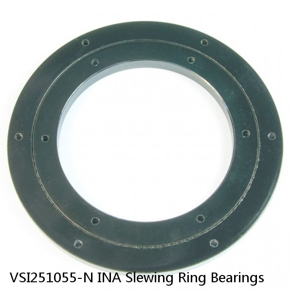 VSI251055-N INA Slewing Ring Bearings