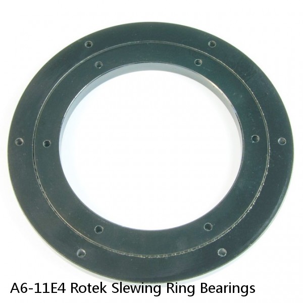 A6-11E4 Rotek Slewing Ring Bearings