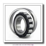 2.165 Inch | 55 Millimeter x 3.543 Inch | 90 Millimeter x 1.024 Inch | 26 Millimeter  NSK NN3011MBKRE44CC1P4  Cylindrical Roller Bearings